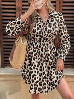 Leopard Print Long Sleeve Shirt Dress